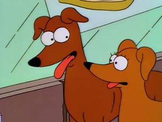 Two Dozen and One Greyhounds